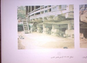 دانلود پاورپوینت بررسی اقلیم معتدل و مرطوب - Image 4