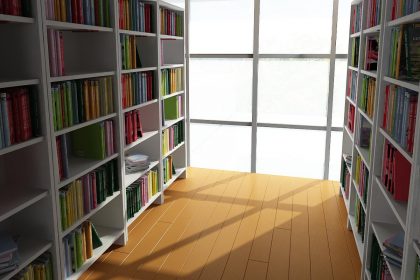 دانلود پروژه معماری کامل طراحی کتابخانه عمومی (پایان نامه کارشناسی) - Image 3
