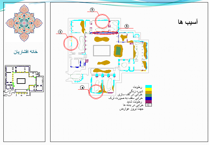 آسیب شناسی