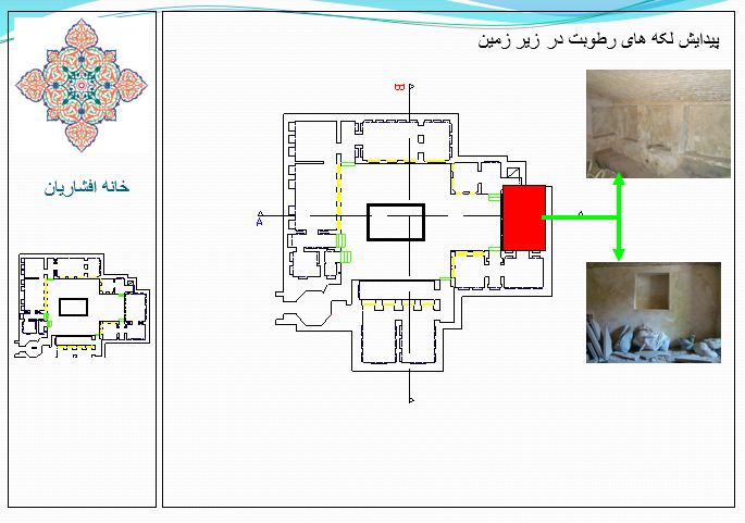 آسیب شناسی