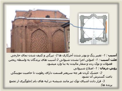 آسیب شناسی