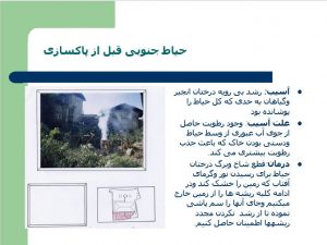 بررسی آسیب ها