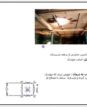 آسیب شناسیآسیب شناسی