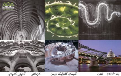 دانلود پاورپوینت آناتومي انسان و حيوانات در معماري - Image 4