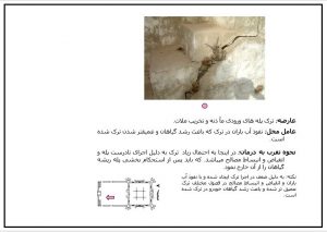 آسیب شناسی