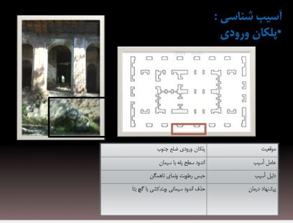 آسیب شناسی