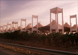 ترمینال حج1
