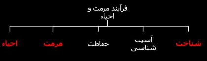 فرایند مرمت و احیا