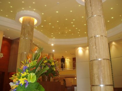 دانلود پاورپوینت ساگا گلس باریسول - Image 5